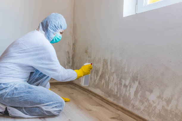 Mold Remediation specialist working in Sparta